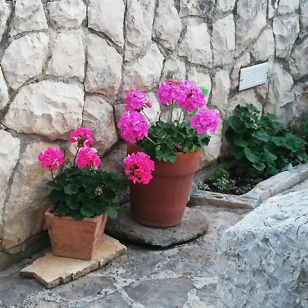 Dario * Grebaštica