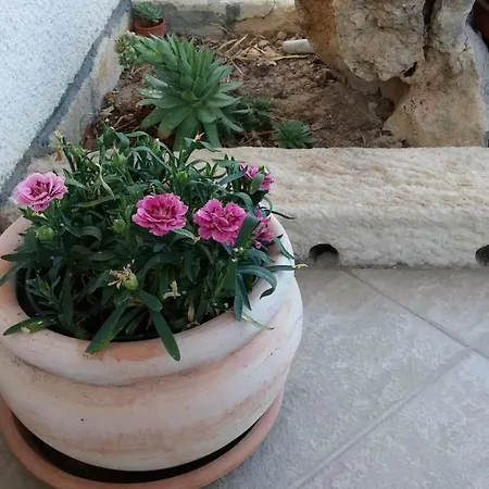 Dario Apartamento *